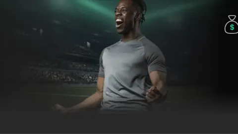 “辛纳在澳网力克紫薇，再度荣获男单冠军”